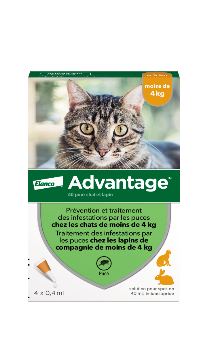 BAYER ADVANTAGE 40 SPOT ON CHATS ET LAPINS 4KG 4 PIPETTES