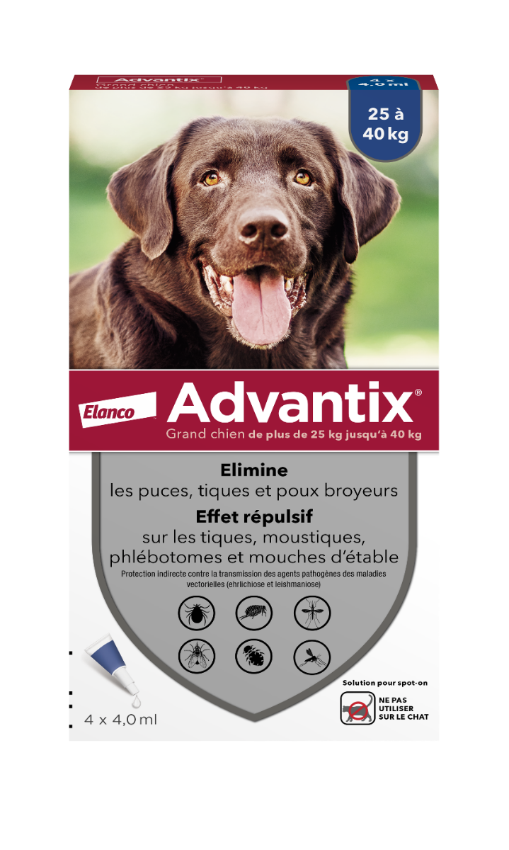 BAYER ADVANTIX ANTIPARASITAIRE EXTERNE GRAND CHIEN 4 PIPETTES