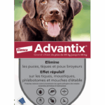 BAYER ADVANTIX ANTIPARASITAIRE EXTERNE GRAND CHIEN 6 PIPETTES