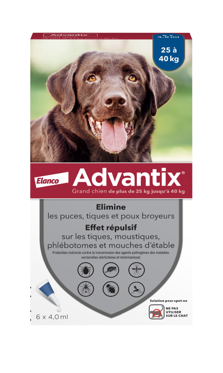 BAYER ADVANTIX ANTIPARASITAIRE EXTERNE GRAND CHIEN 6 PIPETTES