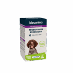 BIOCANINA GASTRO ENTEROLOGIE PROBIOTIQUES REGULACTIV GRAND CHIEN BIO 35G