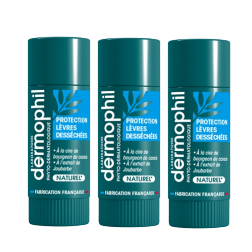 DERMOPHIL INDIEN STICK A LEVRES PROTECTION 3X4G