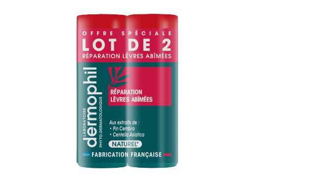 DERMOPHIL INDIEN STICK A LEVRES REPARATION 2X4G