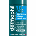 DERMOPHIL INDIEN STICK PROTECTION LEVRES DESSECHEES 4G