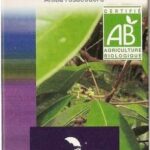 DOCTEUR VALNET HE HUILE ESSENTIELLE BOIS DE ROSE BIO 10 ML