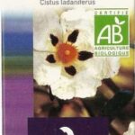 DOCTEUR VALNET HE HUILE ESSENTIELLE CISTE LADANIFERE BIO 5 ML