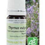 HE HUILE ESSENTIELLE THYM VULGAIRE A THYMOL BIO 5ML
