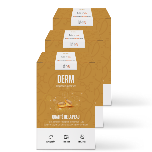 LERO DERM NUTRITION ANTI AGE 3 BOITES DE 30 CAPSULES