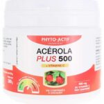 PHYTO ACTIF ACEROLA PLUS 500 100 COMPRIMES SECABLES