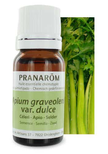 PRANAROM HE HUILE ESSENTIELLE CELERI 10ML