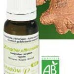 PRANAROM HE HUILE ESSENTIELLE GINGEMBRE BIO 5 ML