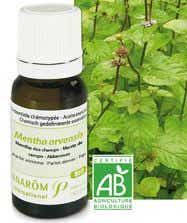 PRANAROM HE HUILE ESSENTIELLE MENTHE DES CHAMPS BIO 10 ML