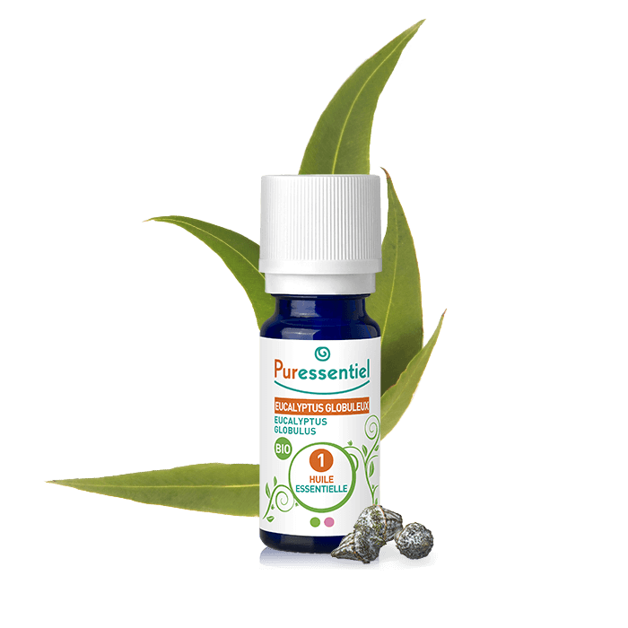 PURESSENTIEL HE HUILE ESSENTIELLE EUCALYPTUS GLOBULEUX BIO 10 ML