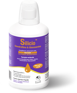 SILICIO CHONDROITINE ET GLUCOSAMINE 500ML