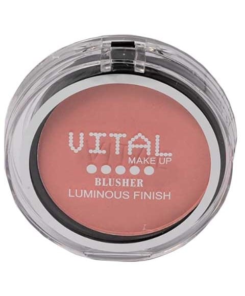 BLUSHER FINITION LUMINEUX 05 PALE PAL 